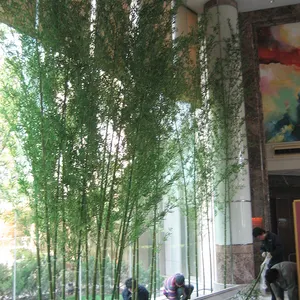 Arbre en bambou artificiel en plastique extérieur, plantes de paysage environnemental, vente en gros, 3M