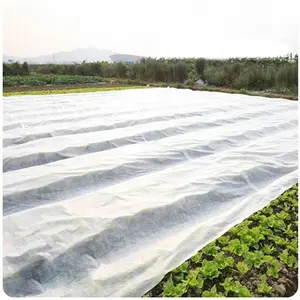 Cubierta de cultivo no tejida para agricultura, cubierta de maceta de plantas, tela no tejida spunbond 100% pp con anti UV