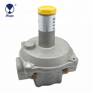 HEAPE 0.5-2 Bar <span class=keywords><strong>Natural</strong></span> <span class=keywords><strong>Gas</strong></span> Valve Regulator - Product Image 3
