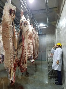 Sistema de Rieles para Carne de Carnicería, <span class=keywords><strong>Metzger</strong></span> Fleisch Schienen Haken - Product Image 4