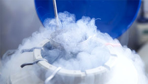 YDH 3 litros cargador seco para el almacenamiento de semen de animales y transferencia de embriones - Product Image 6