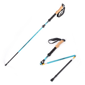 Irish Côn Trùng <span class=keywords><strong>Malacca</strong></span> Có Thể Gập Lại Nhôm Đi Bộ Dính - Product Image 5