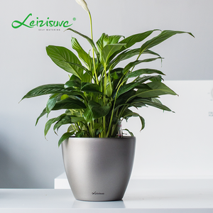 <span class=keywords><strong>Vasi</strong></span> per <span class=keywords><strong>Fiori</strong></span> in Stile Moderno Online, Fioriere in Plastica Dipinte, <span class=keywords><strong>Vasi</strong></span> per Piante da Interno, Contenitori per Piante, Macetas, Vaso da Giardino - Product Image 2