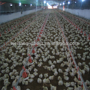 Granjas de pollos la cría de animales equipo para asar pisos de tipo - Product Image 3