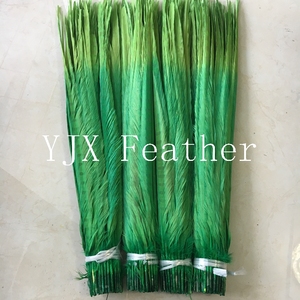 Đầy Màu sắc gà lôi đuôi lông cho Carnival Samba trang phục - Product Image 5