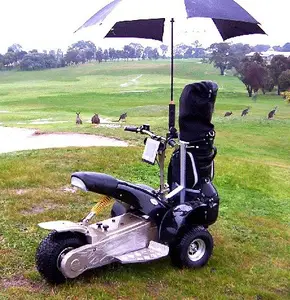 Dörtlü Patent Tasarım Elektrikli golf arabası SX-E0906