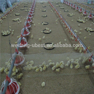 Automatique volaille farm barn équipement pour poulets de chair - Product Image 5