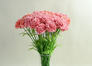 El mejor regalo para el día de la madre 18 colores artificial Clavel flor cortada precios - Product Image 4