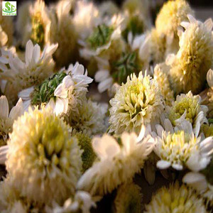 ชาดอกเก๊กฮวยแห้งจากอันฮุย ประเทศจีน - Product Image 3