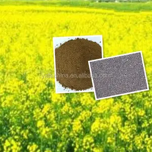 Import And Export Rapeseed Meal