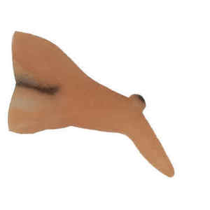 Sorcière <span class=keywords><strong>Halloween</strong></span> <span class=keywords><strong>Maquillage</strong></span> Kit Costume Dents & Faux Nez - Product Image 4