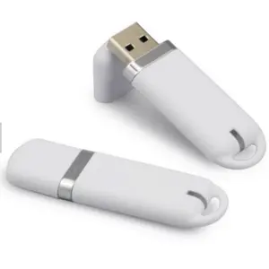 Cao Giá Xuất Xưởng Chất Lượng Memory Stick Nhựa Usb Stick Số Lượng Lớn 1 gb 4 gb 8 gb usb flash drive