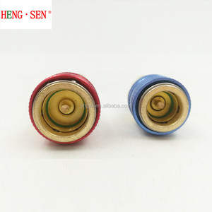 R134A Einstellbare Schnellwechsler - Product Image 2