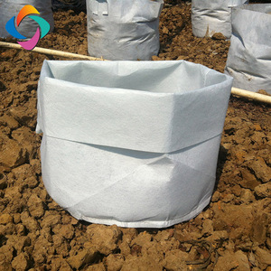 Sacs de culture géomantique, non tissé, aide à la croissance des végétaux, prix - Product Image 2