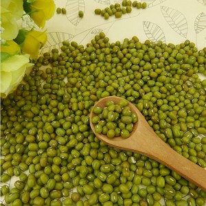 Nouvelle récolte de graines de haricot mungo Bon <span class=keywords><strong>prix</strong></span> Haricot mungo <span class=keywords><strong>vert</strong></span> <span class=keywords><strong>Haricots</strong></span> Vigna - Product Image 3