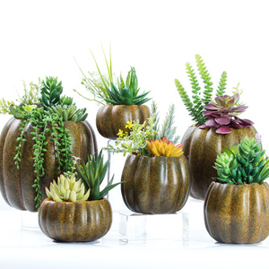 Nuovo disegno a buon mercato all'ingrosso vero tocco bella artificiale piante succulente in vaso di <span class=keywords><strong>zucca</strong></span> per la decorazione - Product Image 6
