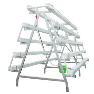 Kas Hydrocultuur Systeem Een Frame Pvc Circulaire Pijp Voor Verkoop