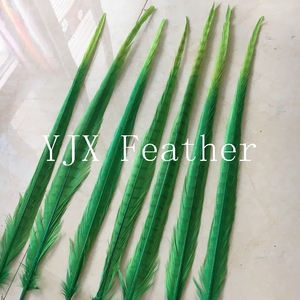 Đầy Màu sắc gà lôi đuôi lông cho Carnival Samba trang phục - Product Image 3