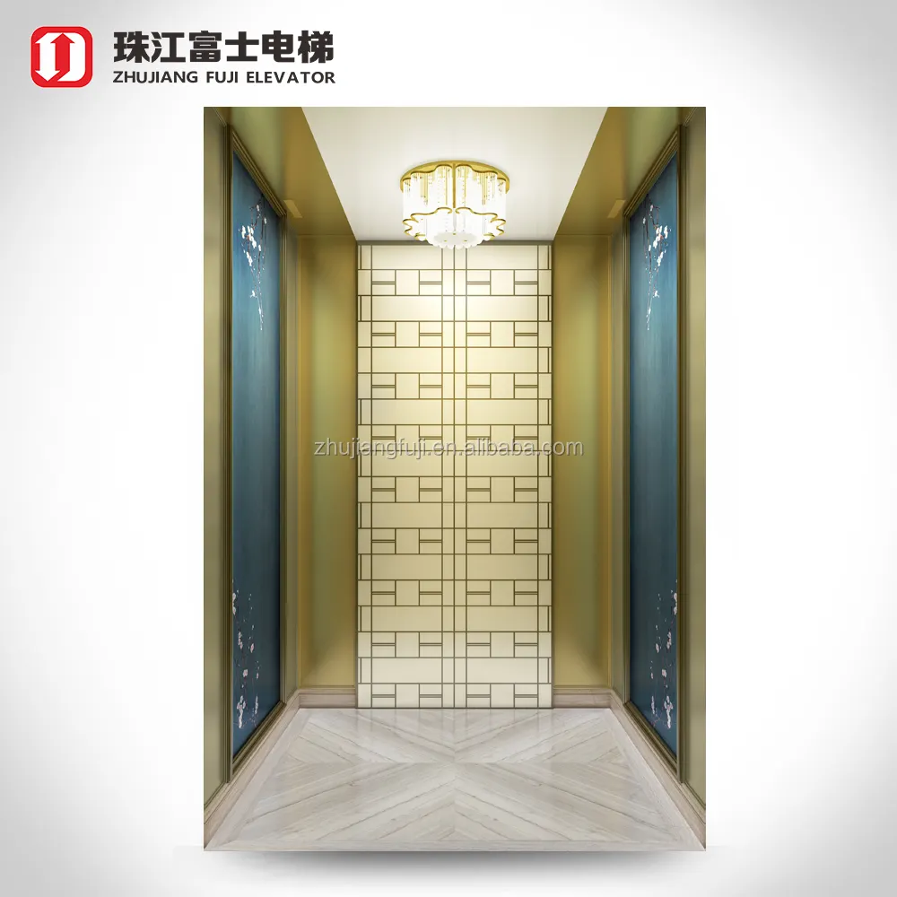 ZhuJiangFuji 럭셔리 레지던스 엘리베이터 리프트 홈 엘리베이터 2 층 2 정지 빌라 리프트 좋은 가격