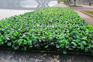 Vente chaude en plastique <span class=keywords><strong>haie</strong></span> <span class=keywords><strong>de</strong></span> <span class=keywords><strong>buis</strong></span> <span class=keywords><strong>buis</strong></span> artificielle panneau - Product Image 4
