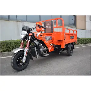 Tricycle Moto 9 pouces à 3 roues, Moto cargo, 200cc, vente en anglais