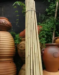 Tarım bambu sopalar ham Bambou direkleri kreş dikim/özel bambu ahşap malzeme