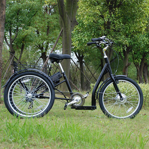 250W électrique <span class=keywords><strong>personne</strong></span> âgée <span class=keywords><strong>3</strong></span> roues tricycle cargo <span class=keywords><strong>pour</strong></span> handicapés famille cargo vélo trike GW-7019E livraison vélo - Product Image 1