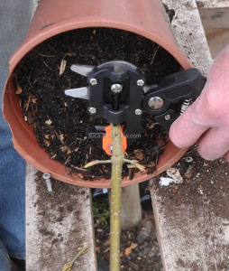 Vendita calda di alta qualità di potatura cesoie da giardino innesto strumenti - Product Image 3
