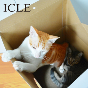 <strong>Cat</strong> <strong>Toys</strong> Houses Corrugated Paper Scratching <strong>Free</strong> Catnip Milk Box Cardboard <strong>Cat</strong> Scratcher