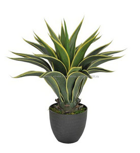 Barato artificial plantas de ornamentación vivir <span class=keywords><strong>del</strong></span> aire interior árboles bonsai artificial planta de <span class=keywords><strong>agave</strong></span> - Product Image 2