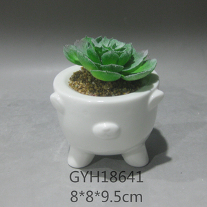 <span class=keywords><strong>Amazon</strong></span> Offre Spéciale mini succulentes en céramique pots <span class=keywords><strong>de</strong></span> fleurs pour décor <span class=keywords><strong>de</strong></span> table - Product Image 6