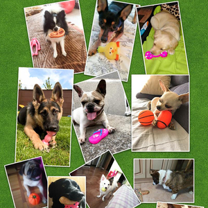 Pet Product Pet <strong>Dog</strong> Puppy Chew Toys Anti Bite <strong>Squeaker</strong> Squeaky <strong>Sound</strong> Cute Ball Vegetable Chicken <strong>Dogs</strong> Toy - Product Image 2