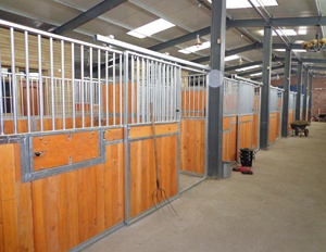 Nuova Porta Scorrevole in Acciaio per Stalle Equestri, Dimensioni Personalizzabili, Alta Sicurezza, Durevole, Zincata, Garanzia di 1 <span class=keywords><strong>Anno</strong></span>, Senza Cavalli - Product Image 1