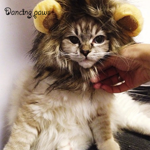 Gros <span class=keywords><strong>Chat</strong></span> Lion Panda Mickey <span class=keywords><strong>Crinière</strong></span> Perruque <span class=keywords><strong>Chat</strong></span> Costume Chapeau Cheveux <span class=keywords><strong>Chat</strong></span> Pour Animaux De Compagnie Chiot Cosplay Perruque - Product Image 2