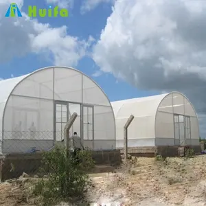 Newly Greenhouse For Vegetable Philippines Greenhouses