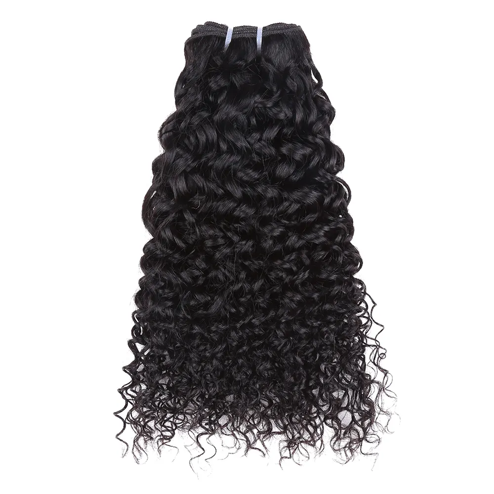 Hair Expo Mall Curly Wave Virgin Pakistan 8 inch-24 Inch Human Hair Weave Extensions