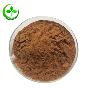 Hot sale chaga mushroom extract powder 50% Polysacchardes