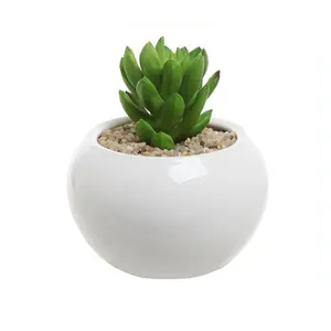 둥근 흰색 공 디자인 장식 다육 식물 선인장 화분 세라믹 화분
