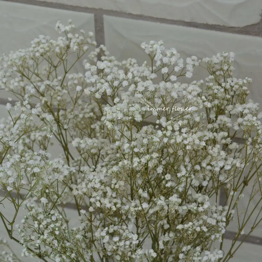 beautiful decoration artificial flower baby s breath from China