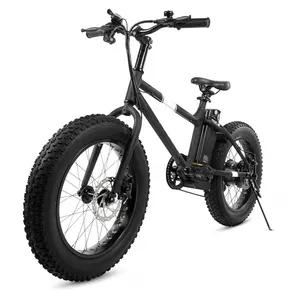 Factory 20inch 4.0 fat tire electric bicycle electric BMX bike