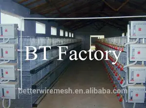 Hot - vente professionnelle H type volaille cages pour poulets de chair ( bienvenue à mon usine )