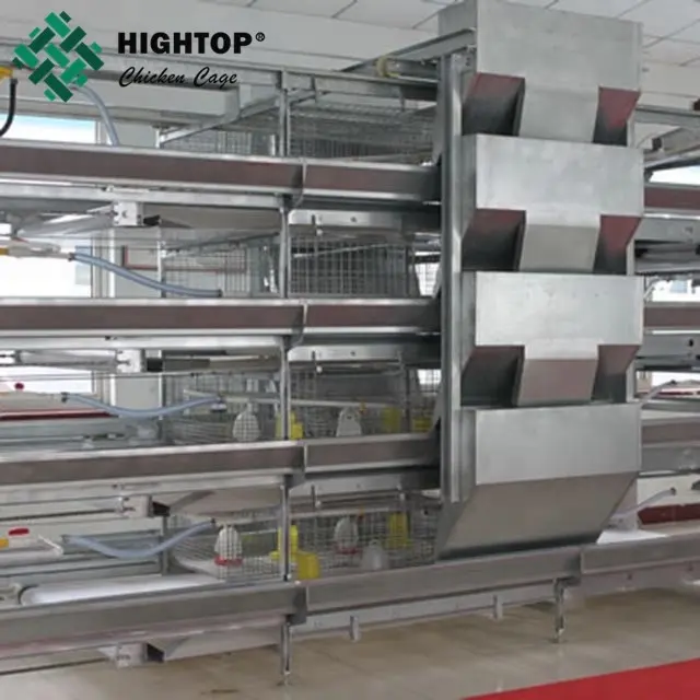Automatic Feeder Machine Of Battery Cages Laying Hens