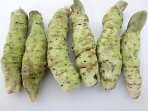 Raiz de <span class=keywords><strong>wasabi</strong></span> cru japonais séché, Namida et Bergstockrose, Eutrema Japonicum, rhizome - Product Image 3