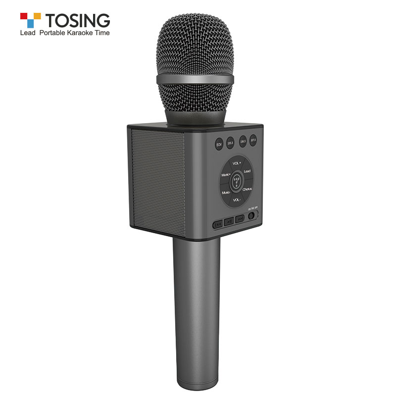 TOSING Q12 Portable KTV歌のマシンカラオケマイクワイヤレス