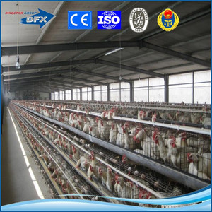 acier a faible cout de haute qualite poulailler prefabrique de qing dao - Product Image 6