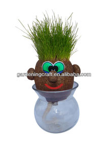 Novedosa Muñeca de Cabeza de Hierba para Halloween, DIY, Divertida y Creativa, Decoración para el Hogar, Oficina, Escritorio, Juguete Educativo para Niños - Product Image 6