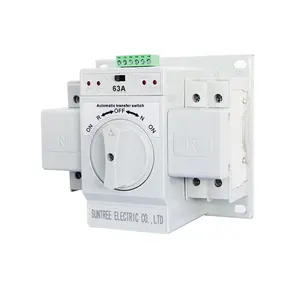 ATS 220 Volt 6-63 Amp Elettrico Interruttore Automatico di Trasferimento di calore per Monofase