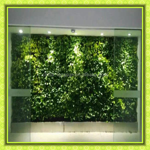 LSD-160416853 glicinas planta Artificial hojas de vid verde colgante de pared al por mayor - Product Image 4
