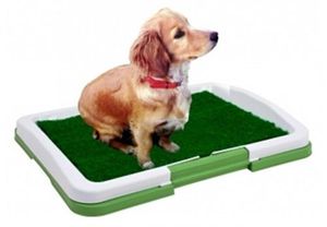 子犬トイレグラスマット犬トレーナー屋内おしっこパッドトレーニングパッチ - Product Image 5
