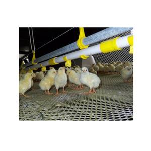 <span class=keywords><strong>Bebedero</strong></span> automático de plástico para pollos, <span class=keywords><strong>bebedero</strong></span> para pezones, jaula para aves de corral, goteo - Product Image 2